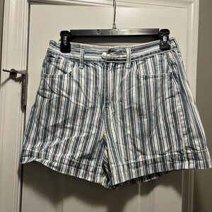 American Eagle Blue and White Striped Shorts